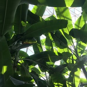 Meet your Posher, Blaire